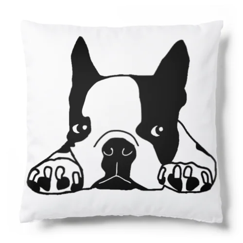 Bostonrockbay Cushion