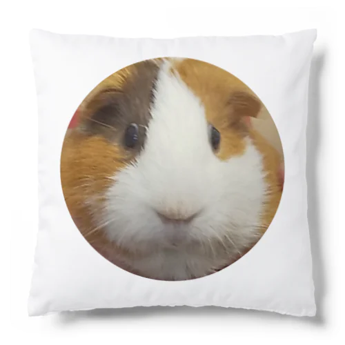 マルちゃん Cushion