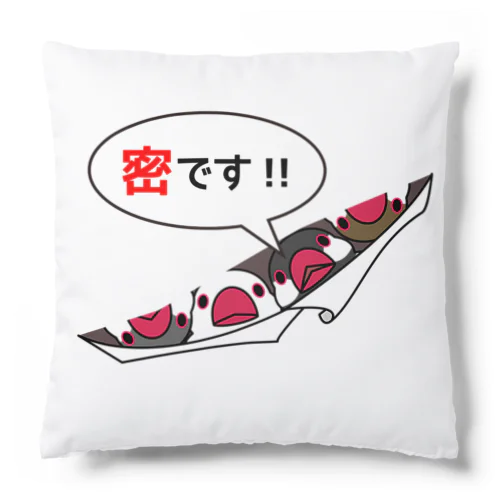 密です！フィンチさん【まめるりはことり】 Cushion