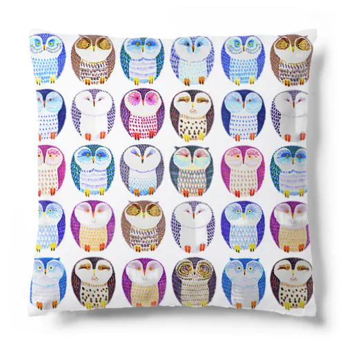 colorful owl Cushion