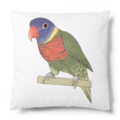 色合いが綺麗なゴシキセイガイインコちゃん【まめるりはことり】 Cushion