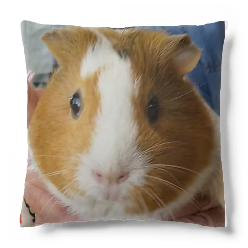 ミルク Cushion