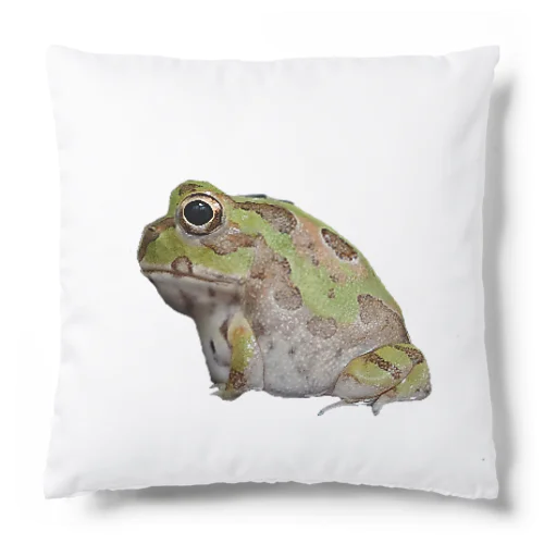 チャコガエル Cushion