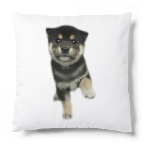 お手　黒柴 Cushion