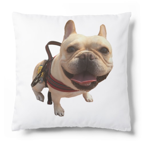 大吉 Cushion