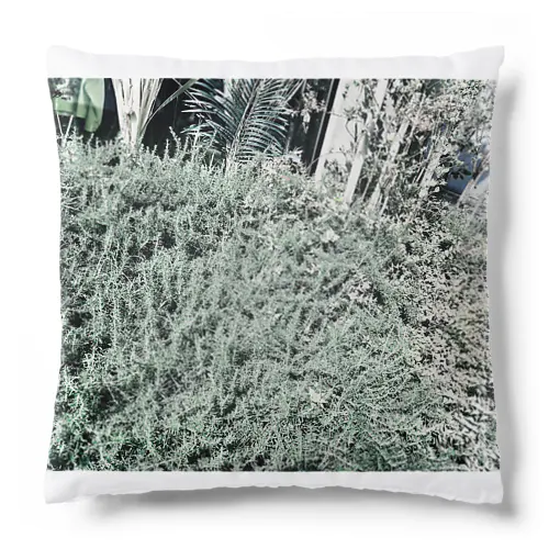 plants Cushion