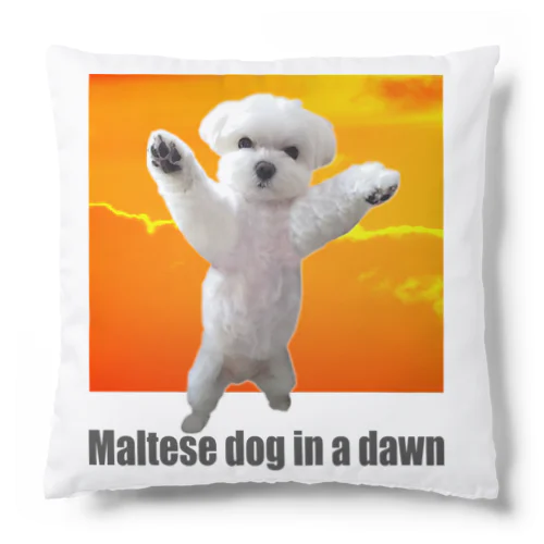 夜明けのマルチーズ おもしろ子犬グッズシリーズ（ Cute and cool puppy. ） Cushion