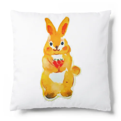 rabi Cushion