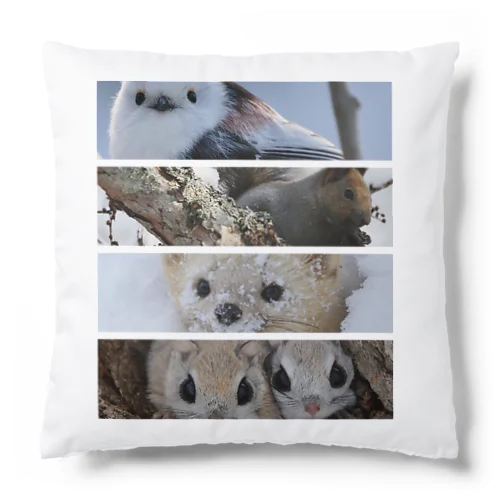 【エゾシリーズ】笑顔つながるサロベツの動物 Cushion