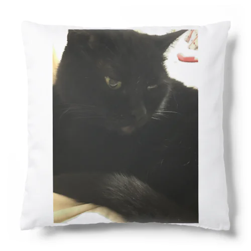 ミニクロくん Cushion