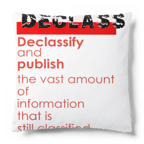 DECLASS Cushion