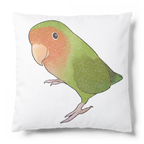 見つめるコザクラインコちゃん【まめるりはことり】 Cushion