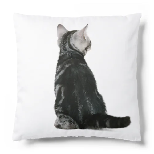 子猫の後ろ姿 Cushion