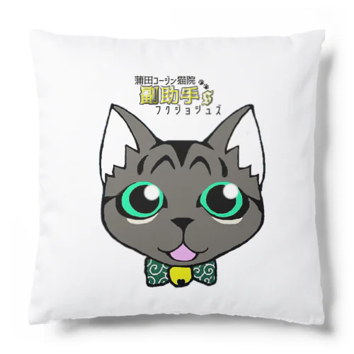 蒲田コージン猫院 副助手'S Cushion