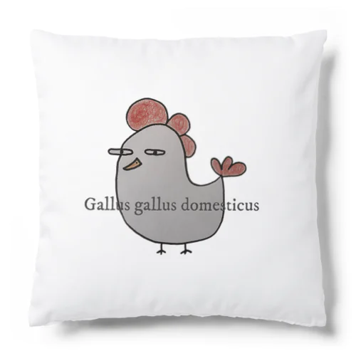 『Gallus gallus domesticus』＝ニワトリ クッション