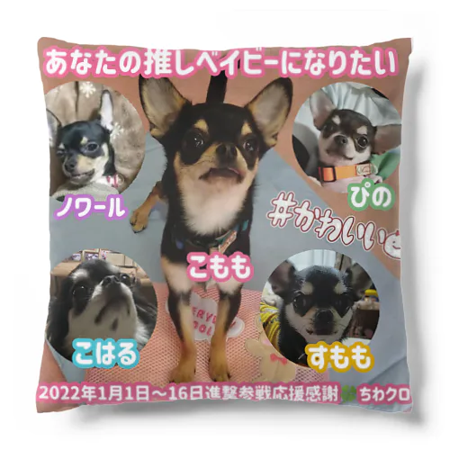 あなたの推しベイビーになりたい2022年1月 Cushion