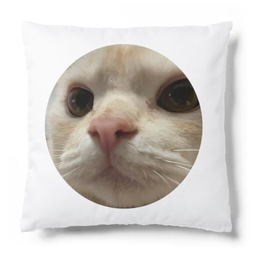 びっくりちくわ、 Cushion