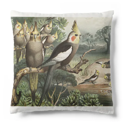 オカメインコ Cushion