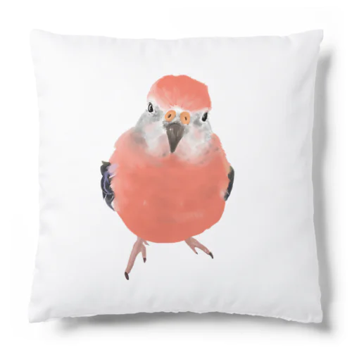 アキクサインコ Cushion