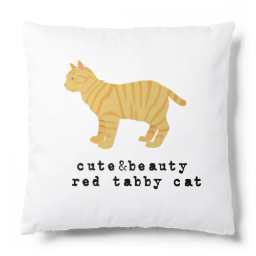 猫1-5 茶トラ猫 Cushion