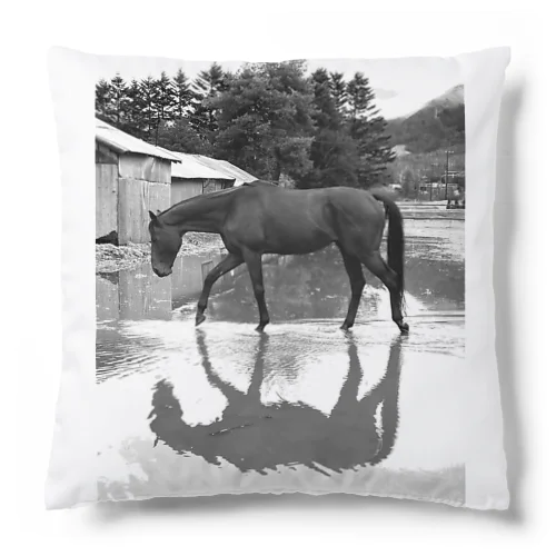 雨上がりの馬　引退競走馬インディ Cushion