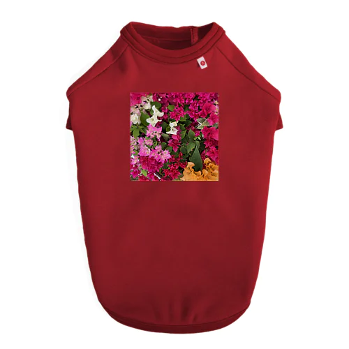 Flower_Bougainvillea ドッグTシャツ