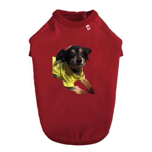 ミックス犬 くーちゃん Dog T-shirt