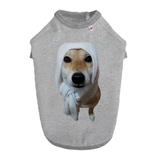 湘南のころちゃん Dog T-shirt
