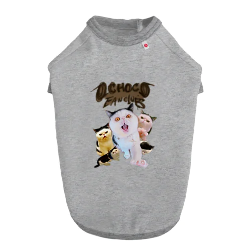 OCHOCO ROCK Dog T-shirt