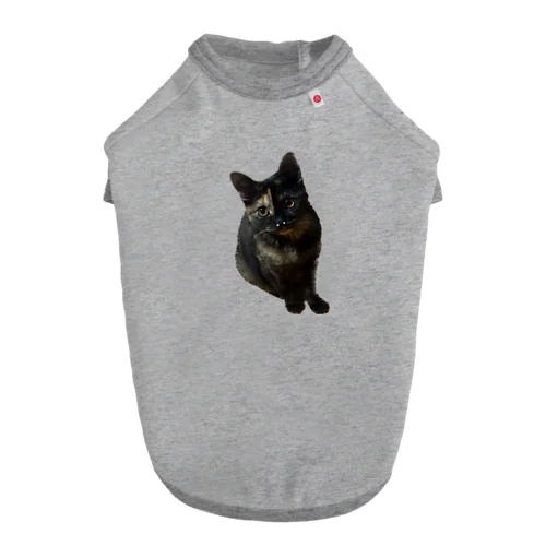 サビ猫くう Dog T-shirt