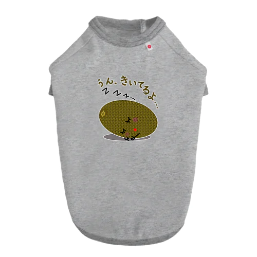 スリーピー　キウィ　きいてるよ Dog T-shirt