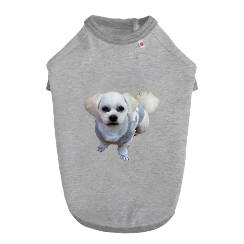 イケメン犬 ドッグTシャツ