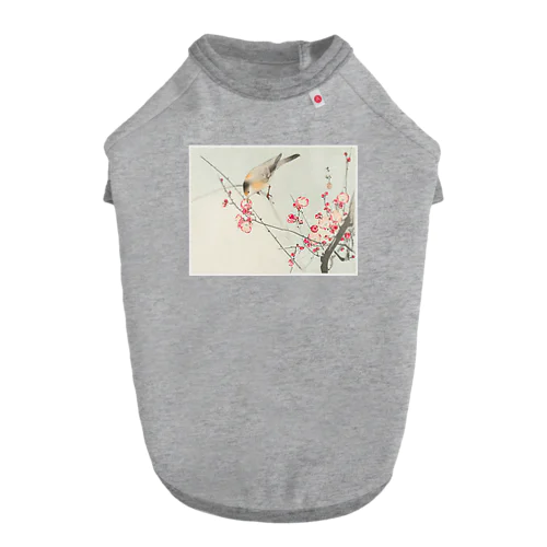 小原古邨　梅に鶯　Ohara Koson / Songbird on blossom branch Dog T-shirt