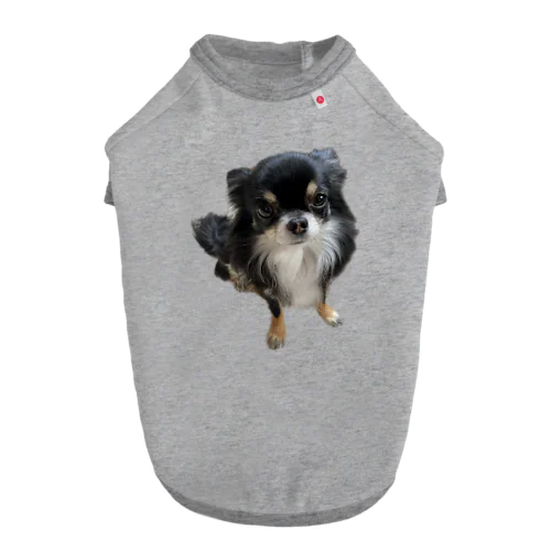 ちわわのりんちゃん Dog T-shirt