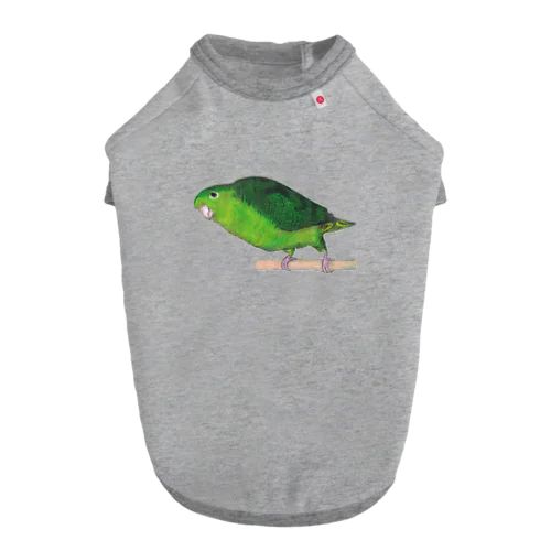 [森図鑑] サザナミインコ緑色 ドッグTシャツ