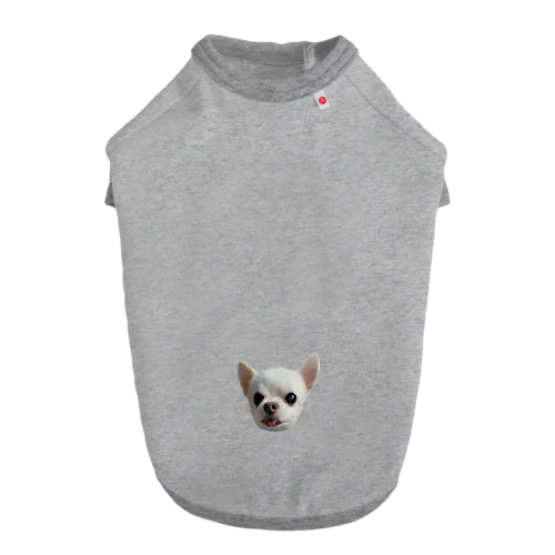 チワワのとっぴーくん Dog T-shirt