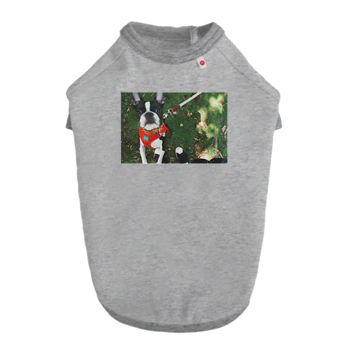 メロメロ　ボストンテリアネロちゃん Dog T-shirt