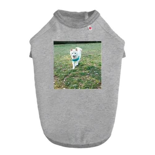 柴犬ラルフ ドッグTシャツ