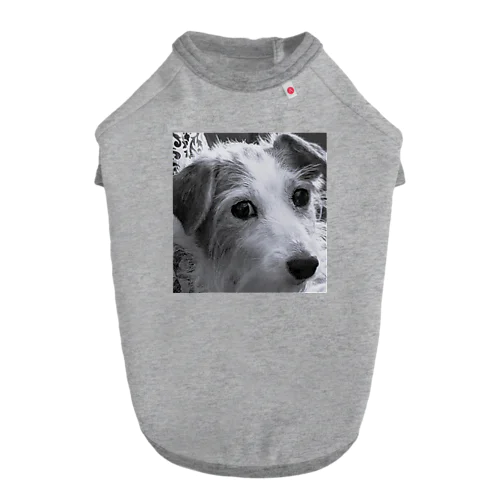 さくら13歳 Dog T-shirt