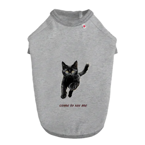 黒猫ちも ドッグTシャツ