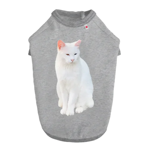 【オッドアイ】半目の白猫 ドッグTシャツ
