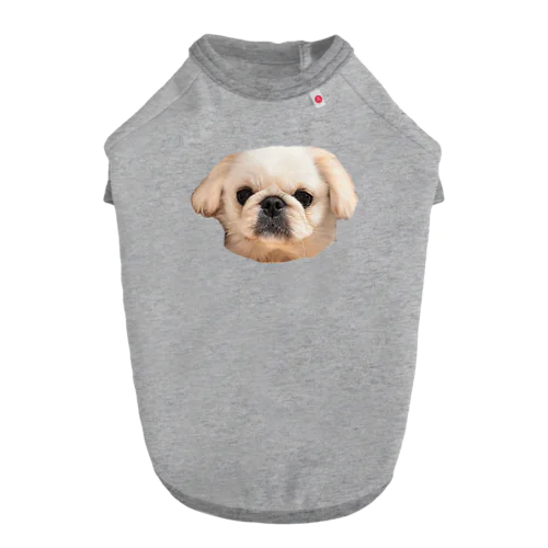 くーちゃま is the dog ドッグTシャツ