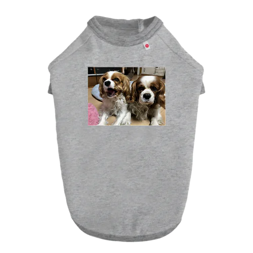 キャバリア　チビミニの日常 Dog T-shirt