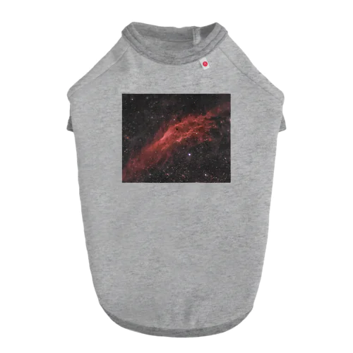 カリフォルニア星雲 Dog T-shirt