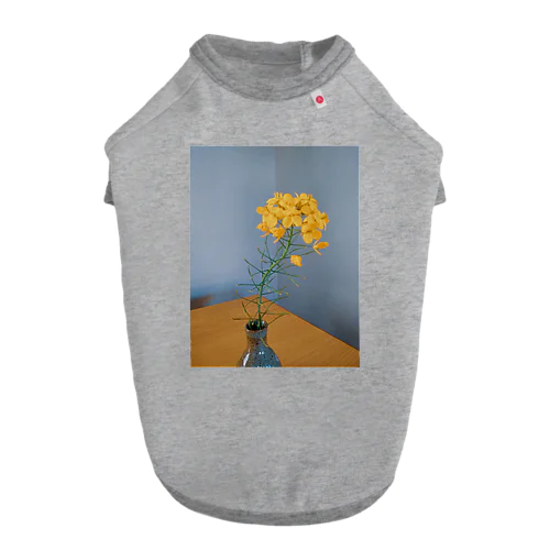 ほっくり菜の花 Dog T-shirt