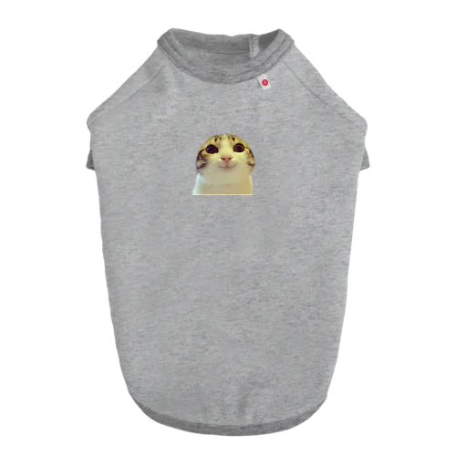 お願い猫 meme Dog T-shirt