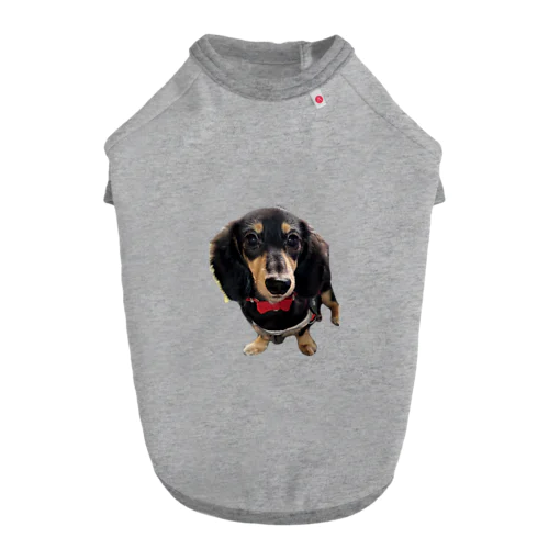 カニンヘンダックスの隼人くん Dog T-shirt