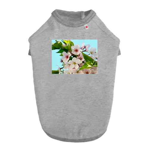 桜 Dog T-shirt