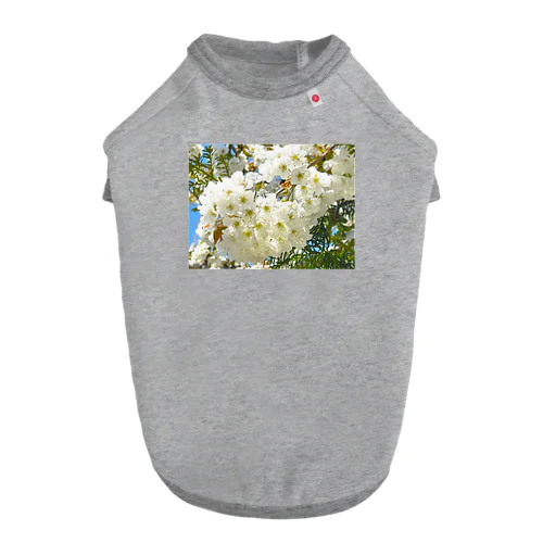 白桜 Dog T-shirt