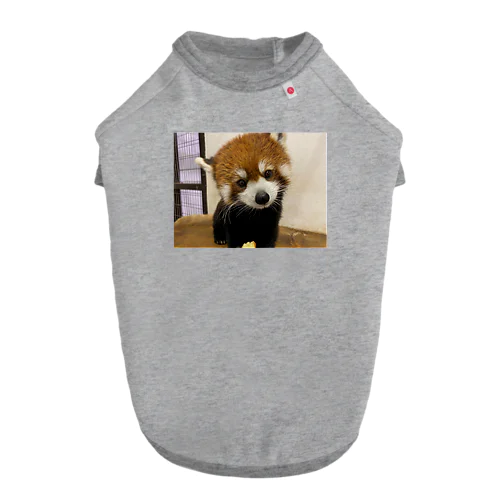 レッサーパンダ Dog T-shirt